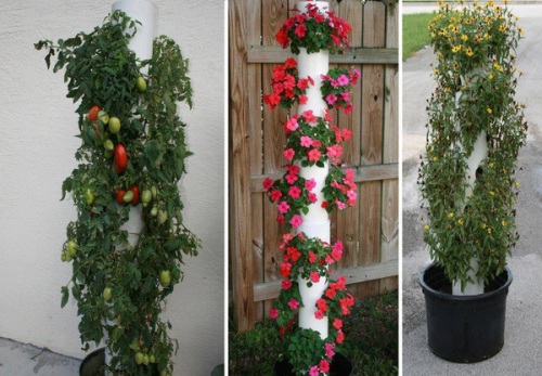 15 mẫu thiết kế trồng cây trong ống nhựa PVC vừa đẹp vừa tiết kiệm không gian