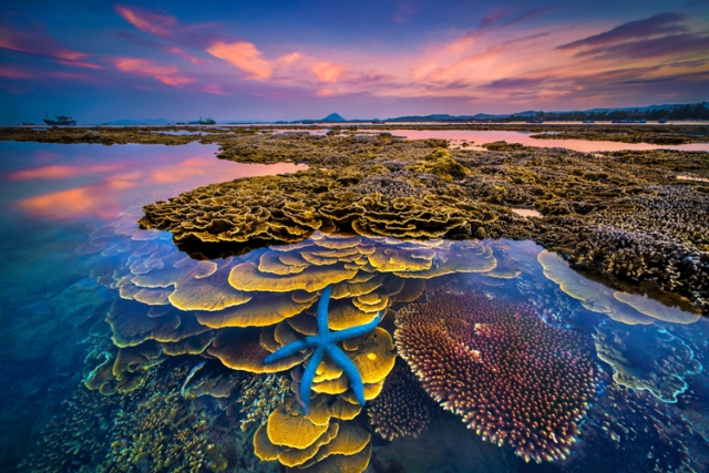“Sắc màu của biển” giành giải Nhất cuộc thi ảnh nghệ thuật du lịch toàn quốc