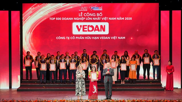 Những hoạt động nổi bật của Vedan Việt Nam: •	Vedan Việt Nam lần thứ 13 đứng trong “Top 500 doanh nghiệp lớn nhất Việt Nam”