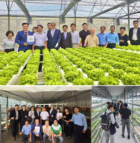 WVCEA: Thắt chặt tình hữu nghị Việt - Hàn, thúc đẩy chuyển đổi kép