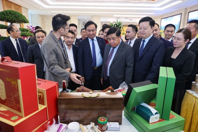 Liên kết hiệu quả giữa hợp tác xã và doanh nghiệp