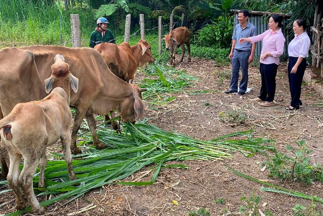  Đak Pơ vững bước an sinh từ dòng vốn tín dụng chính sách