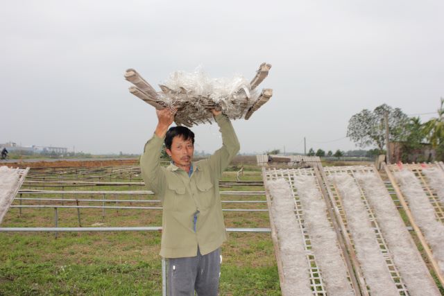 Hà Nội: Số hóa, quản lý minh bạch, chuẩn hóa quy trình đánh giá phân hạng sản phẩm OCOP