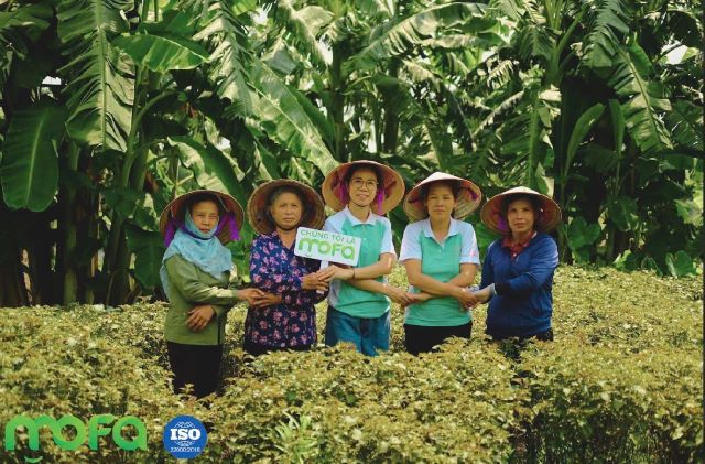 Xã Phúc Thọ: Sản xuất nông nghiệp xanh tạo động lực phát triển sản phẩm OCOP thống nhất, đồng bộ