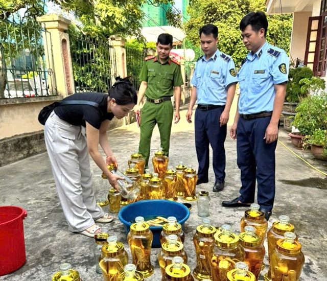 Tiêu hủy 142 lít rượu sâm không rõ nguồn gốc xuất xứ