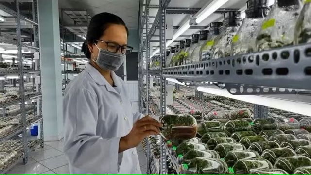 Điều kiện thành lập khu nông nghiệp ứng dụng công nghệ cao
