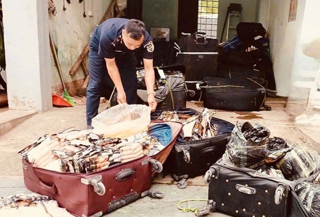 Hải quan phát hiện hơn 1,8 tấn thực phẩm đông lạnh nhập lậu qua biên giới phía Bắc