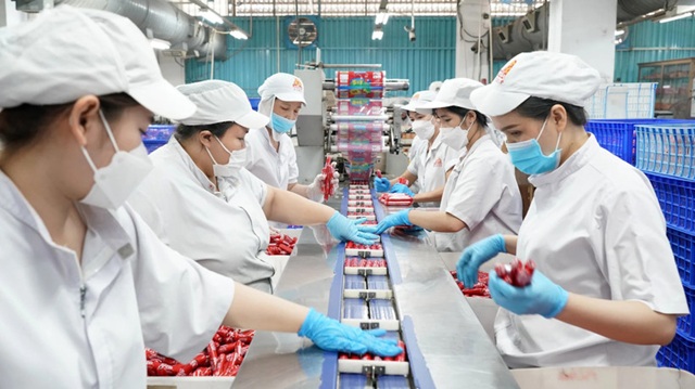 Sửa đổi Luật Bảo hiểm xã hội 2024 để phù hợp tổ chức chính quyền địa phương 2 cấp