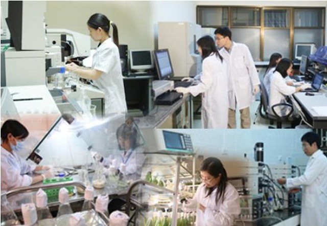 Ban hành Bảng phân loại lĩnh vực khoa học và công nghệ mới