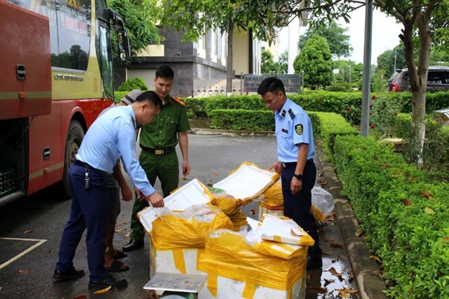 Sơn La: ngăn chặn kịp thời vụ vận chuyển gần 500kg sản phẩm động vật đã bốc mùi hôi thối
