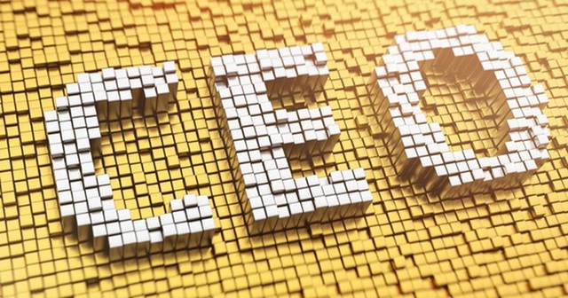 Phê duyệt Chương trình đào tạo, bồi dưỡng 10.000 giám đốc điều hành