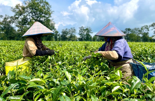 Khuyến công Gia Lai tạo đột phá cho phát triển công nghiệp nông thôn