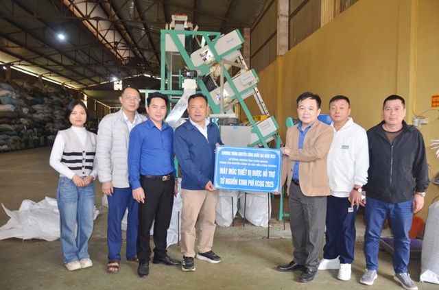 Vốn mồi khuyến công kích hoạt chuỗi giá trị chè xuất khẩu