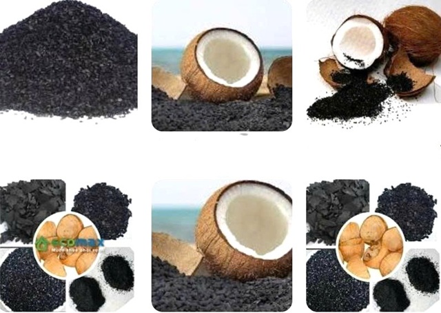 Bệ phóng RISEP đưa thương hiệu than hoạt tính anthracite vươn xa trên thị trường quốc tế