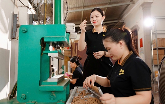 Hà Tĩnh: Đưa sản phẩm RISEP vươn xa từ bệ phóng khuyến công