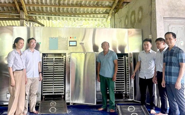 Thương hiệu chè Tuyên Quang “cất cánh” nhờ vốn khuyến công