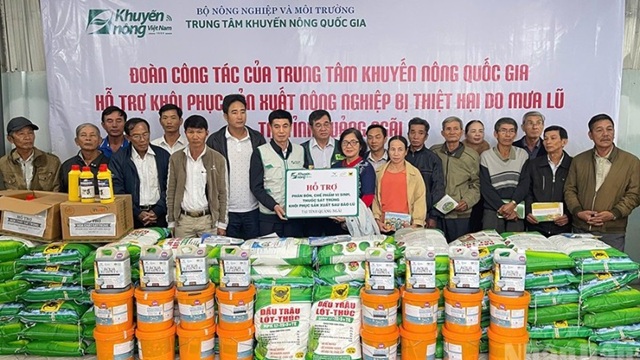 Ngành khuyến nông tổ chức nhiều hoạt động hỗ trợ nông dân Quảng Ngãi khôi phục sản xuất sau mưa lũ