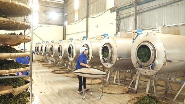 Lào Cai tập trung tháo gỡ vướng mắc, nâng cao hiệu quả khuyến công