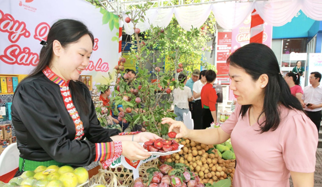 Xúc tiến thương mại: "Mở lối" cho sản phẩm Sơn La vươn xa