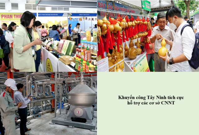 Tây Ninh: Hiệu quả từ các hoạt động khuyến công