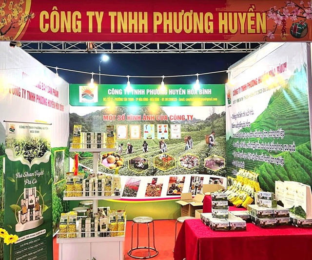Chè Shan tuyết Pà Cò: Điểm tựa RISEP tạo sinh kế, vươn lên thoát nghèo bền vững
