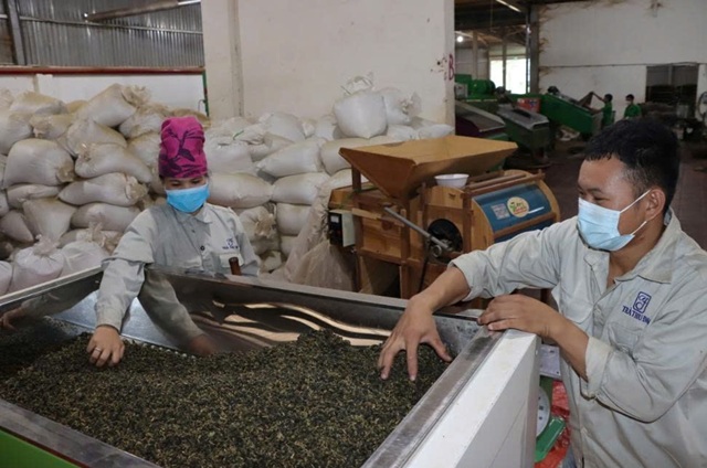 Sơn La: Hoạt động bình chọn SPCNNTTB – hướng đến chuỗi giá trị bền vững