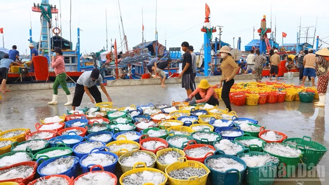 Khánh Hòa hỗ trợ chuyển đổi nghề, giải bản tàu cá: Mở lối cho sinh kế mới bền vững