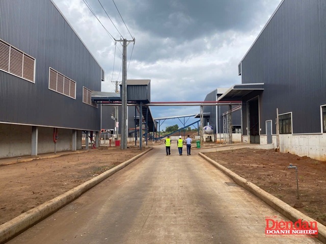 Quảng Trị: Doanh nghiệp tư nhân “khát” vốn