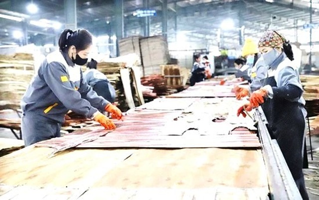 Chứng nhận RISEP cấp quốc gia nâng cao vị thế xuất khẩu hàng Việt