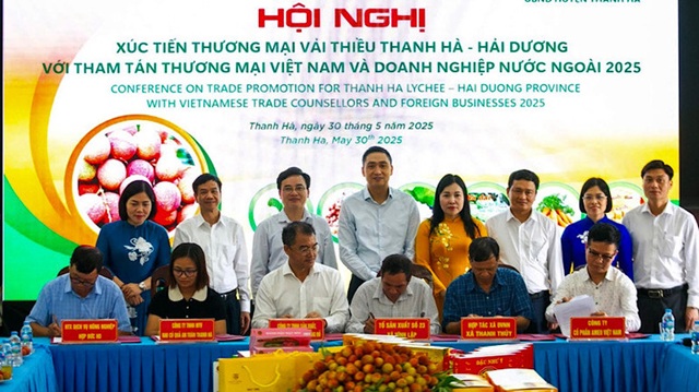 Hải Dương xúc tiến thương mại tiêu thụ vải thiều Thanh Hà