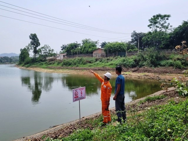Công ty Điện lực Vĩnh Phúc đảm bảo an toàn hành lang lưới điện