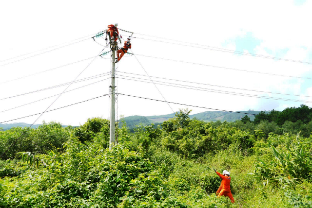 Nâng cao hiệu quả công việc từ văn hóa doanh nghiệp