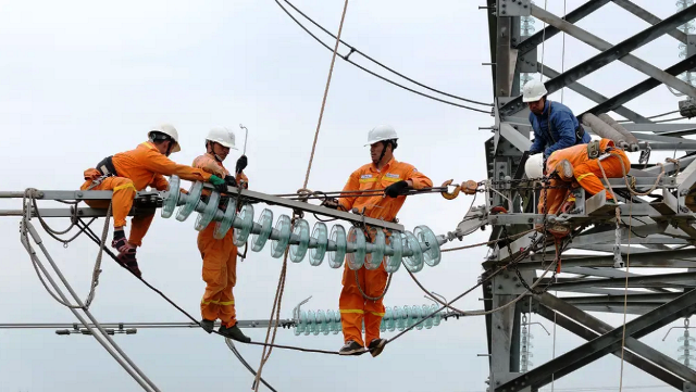 PTC1 hoàn thành thay thế cách điện đường dây 220kV mạch kép Thái Bình – Tiền Hải – Trực Ninh