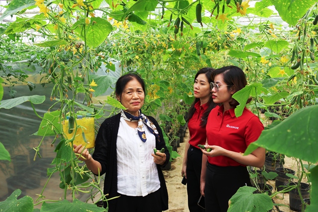 Từ Doanh nghiệp ESG Việt Nam xanh 2025 đến vai trò kiến tạo trong hệ sinh thái quốc gia