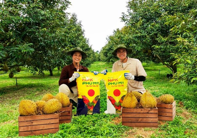 Phân bón Phú Mỹ: Chìa khóa vàng cho đất khỏe, cây xanh và những mùa vàng bội thu