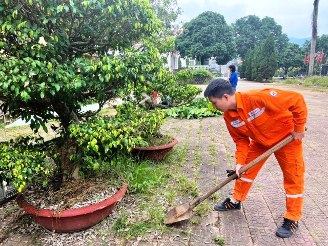 Tuổi trẻ Công ty Điện lực Lào Cai hưởng ứng “Ngày Chủ nhật xanh lần thứ VII, năm 2025”