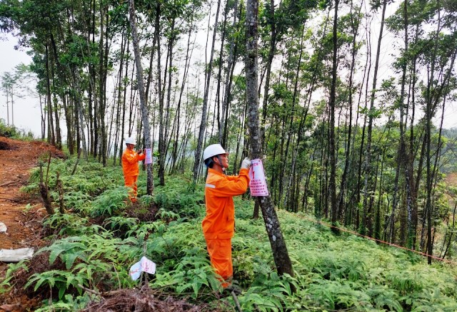 Đội Quản lý Điện lực khu vực Văn Yên hoàn thành việc thành lập Ban Chỉ đạo bảo vệ công trình điện lực tại 9 xã trên địa bàn