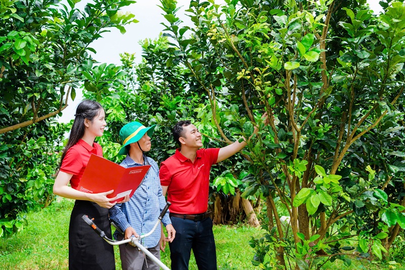 Vai trò lãnh đạo của Đảng ủy Agribank trong phát triển kinh tế tư nhân