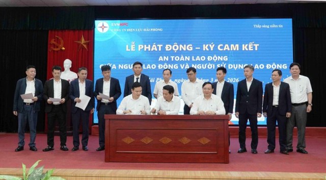 Đẩy mạnh văn hóa an toàn lao động tại Công ty Điện lực Hải Phòng