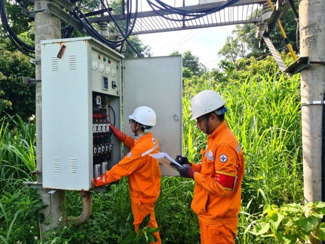 Công ty Điện lực Phú Thọ tích cực đảm bảo an toàn hành lang lưới điện và tuyên truyền an toàn điện mùa nắng nóng