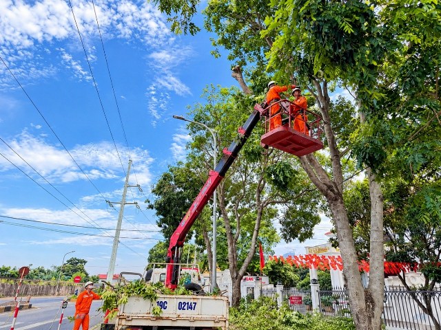 Công ty Điện lực Phú Thọ: Chung tay bảo vệ hành lang lưới điện, phòng ngừa nguy cơ cháy nổ từ cộng đồng