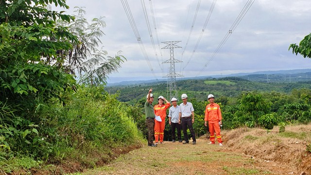 Chú trọng bảo vệ an toàn hành lang lưới điện truyền tải nhằm đảm bảo cung ứng điện các tháng cuối năm 2023 và mùa khô 2024