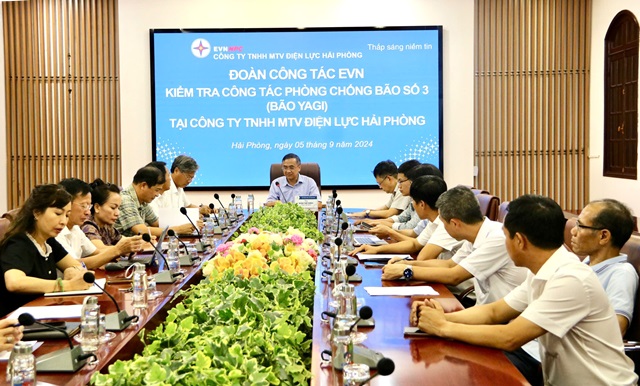 Đoàn công tác Tập đoàn Điện lực Việt Nam kiểm tra công tác phòng, chống cơn bão số 3 tại Hải Phòng