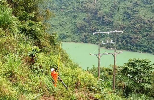 Công ty Điện lực Hà Giang: Chủ động xử lý khoảng cách pha đất nhằm đảm bảo an toàn hành lang lưới điện 