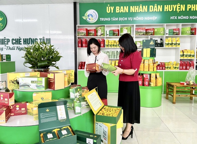 Hỗ trợ doanh nghiệp tiếp cận, ứng dụng hiệu quả công nghệ xanh