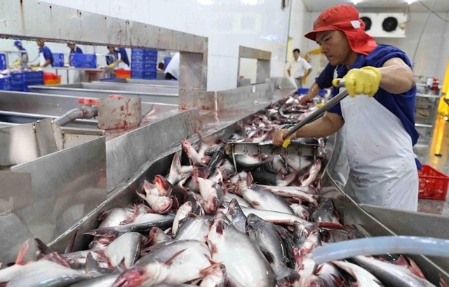 Nhiều doanh nghiệp cá tra Việt hưởng thuế 0% từ Mỹ