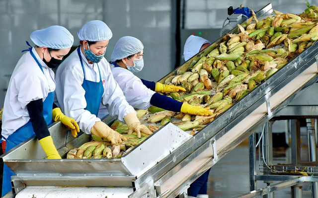 Khi xuất xứ quyết định sức cạnh tranh của hàng Việt