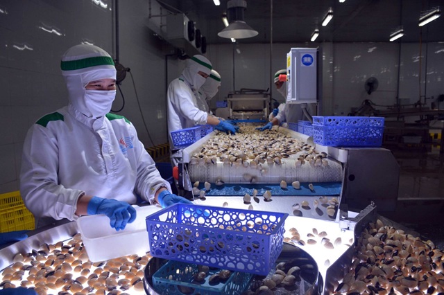 11 tháng năm 2025, xuất khẩu thủy sản sang thị trường CPTPP tăng 24,3%