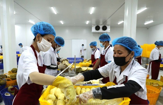 Doanh nghiệp cần chuẩn bị gì để mở rộng xuất khẩu, ‘chinh phục’ thị trường RCEP ?