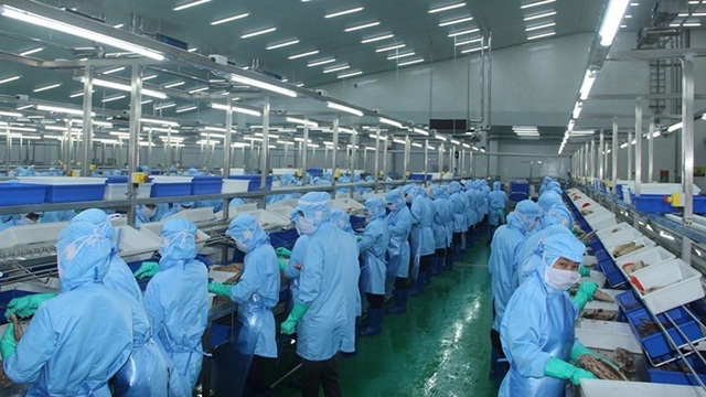 Tăng trưởng xuất khẩu thủy sản chậm lại, đối mặt nhiều rủi ro từ chính sách thuế của Hoa Kỳ